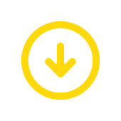Download Icon